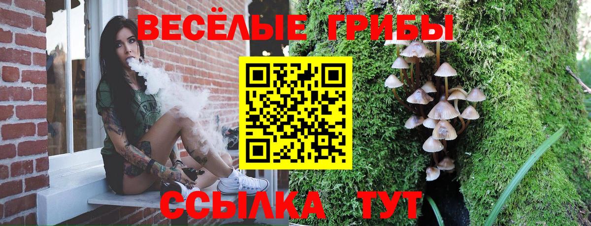 Галлюциногенные грибы ЛСД  Вход с VPN  Псилоцибиновые грибы Psilocybe  Сальск 